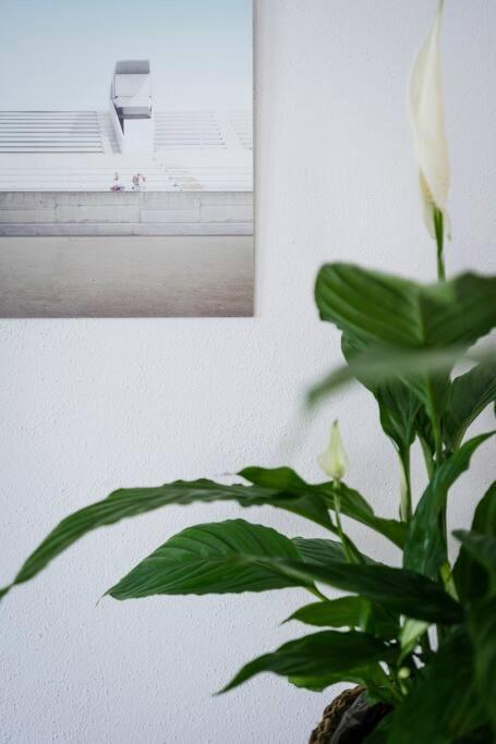 Apartment In Weinstadt-Schnait Extérieur photo